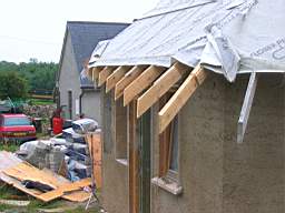tullahemp 2610.JPG